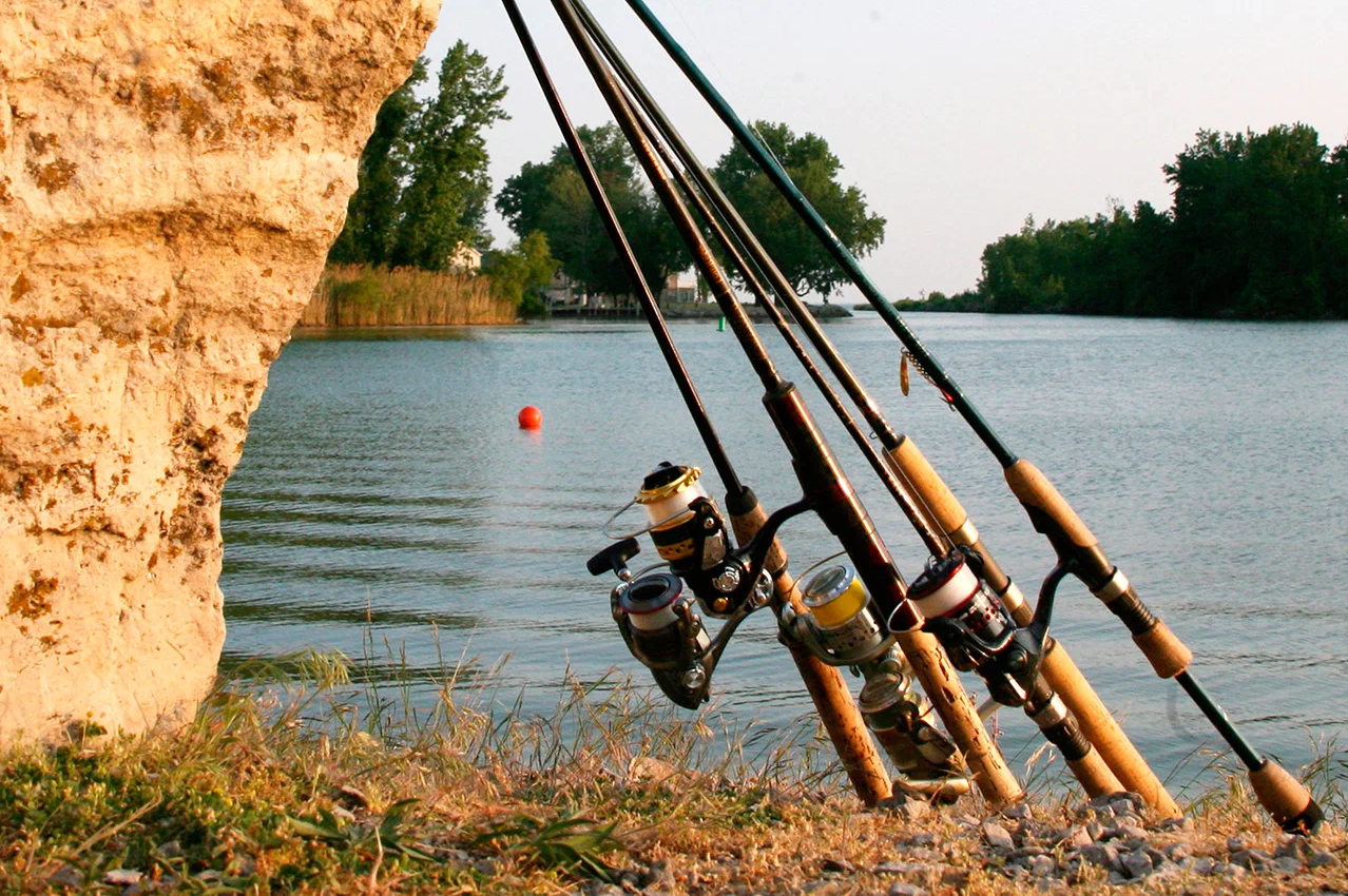 Как выбрать строй спиннинга.png