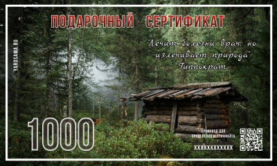 Подарочный сертификат "Зимовье"