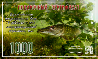 Подарочный сертификат "В засаде"