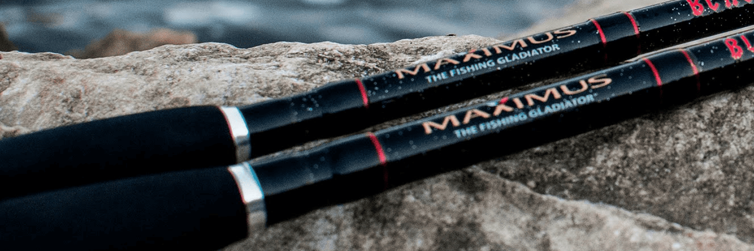 Спиннинг Maximus