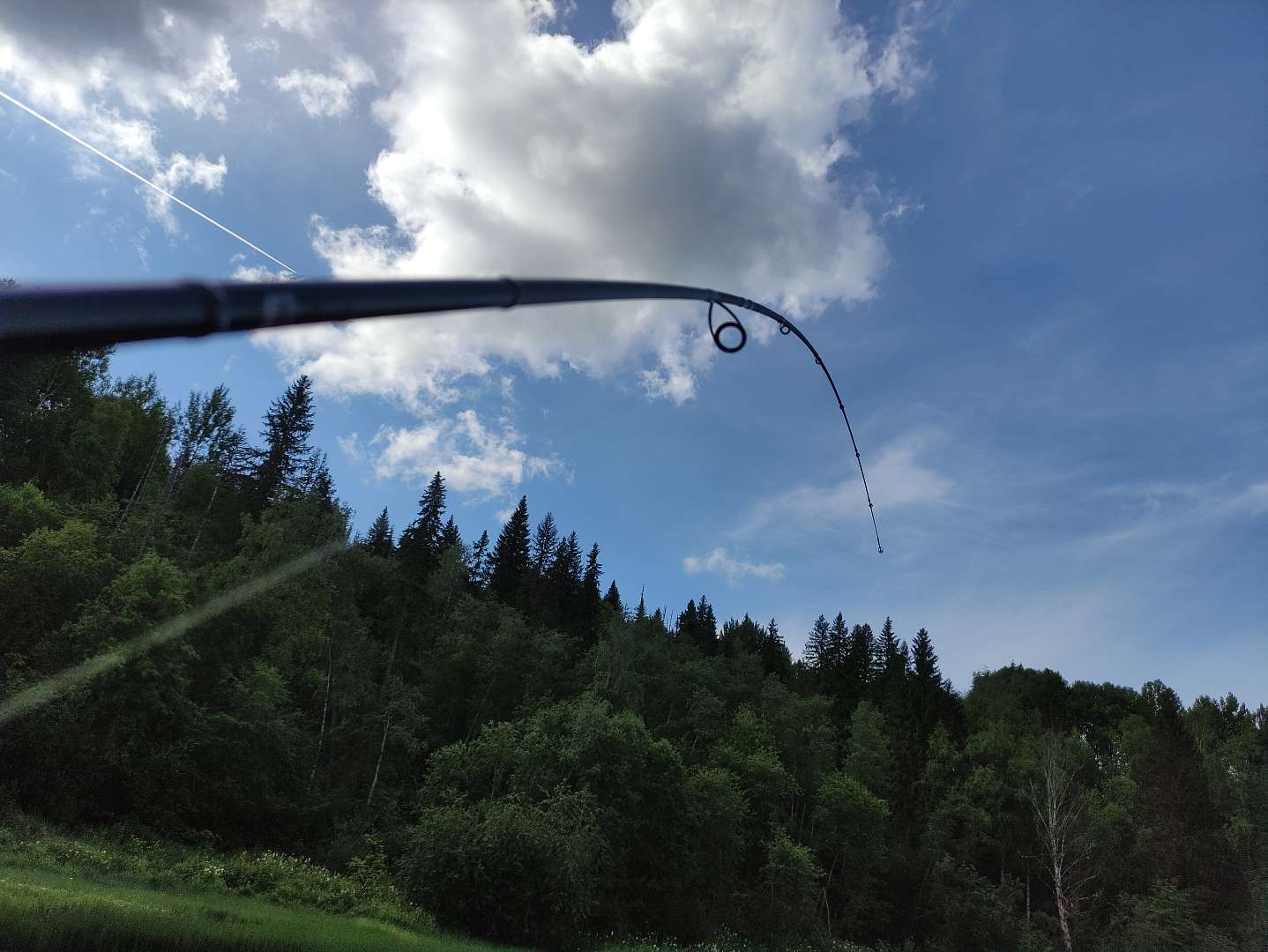 Быстрый строй.jpg