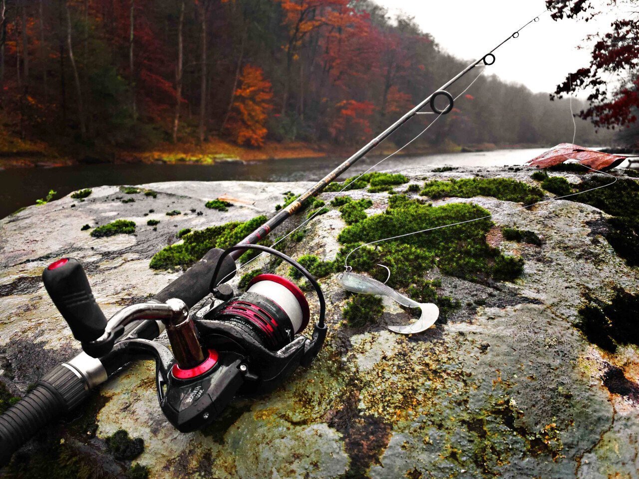 Строй удилища.jpg