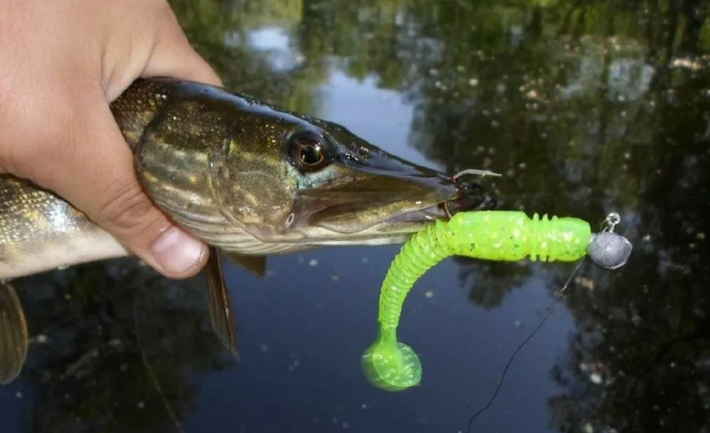 Джиг.jpg Джиг.jpg