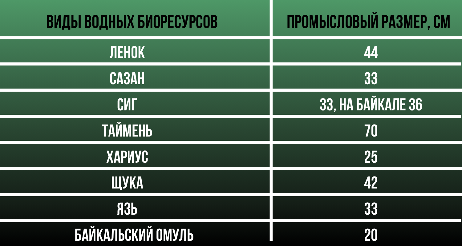 Размер.png Размер.png