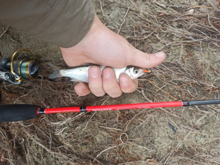 Спиннинг Maximus POINTER-X 22UL 2,2m 0,8-6,5g