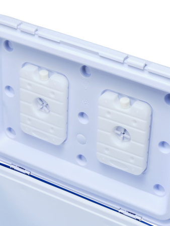 Изотермический контейнер Арктика (60л)