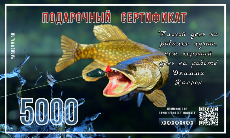 Подарочный сертификат "Щука"
