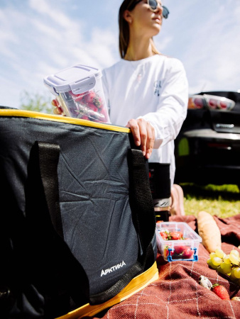 Термосумка Диксон 40л