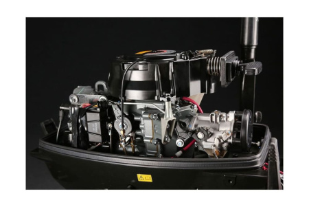 Лодочный мотор SUZUKI DT30S (L)