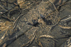 Коврик туристический Talberg FOLDING CAMO MAT XL