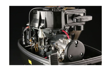 Лодочный мотор SUZUKI DT30S (L)