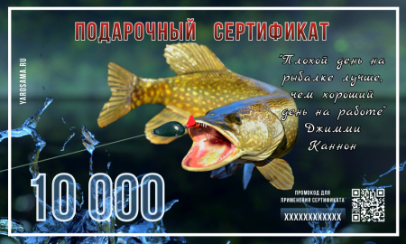 Подарочный сертификат "Щука"