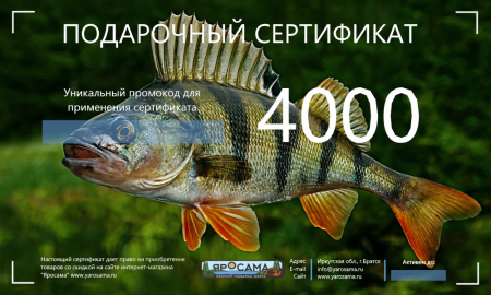 Сертификат на 4000 рублей