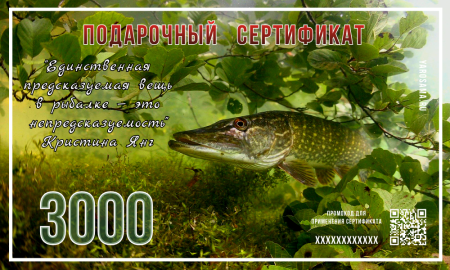 Подарочный сертификат "В засаде"