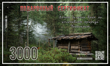 Подарочный сертификат "Зимовье"