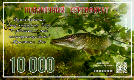 Подарочный сертификат "В засаде"