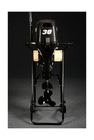 Лодочный мотор SUZUKI DT30S (L)