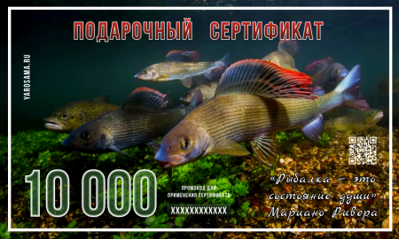 Подарочный сертификат "Хариус"