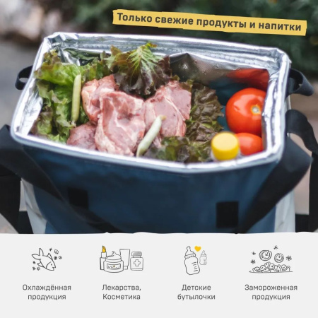 Сумка-холодильник Арктика 10л