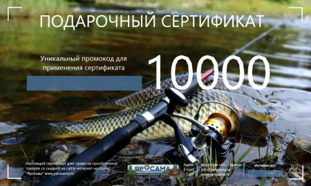 Сертификат на 10000 рублей