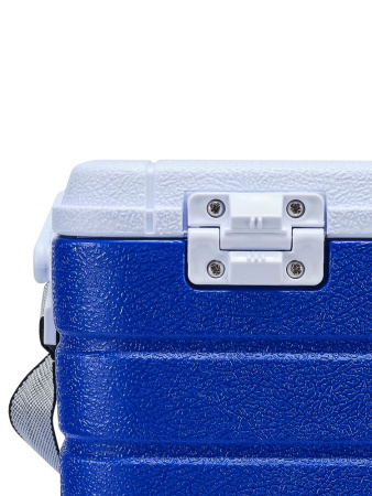 Изотермический контейнер Арктика (10л)