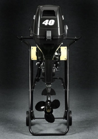 Лодочный мотор SUZUKI DT40WL2