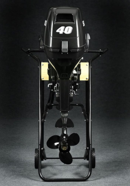 Лодочный мотор SUZUKI DT40WL2