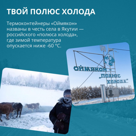 Термоконтейнер Оймякон 25