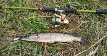 Спиннинг Maximus BUTCHER-X 24MH 2,4 m 10-42g