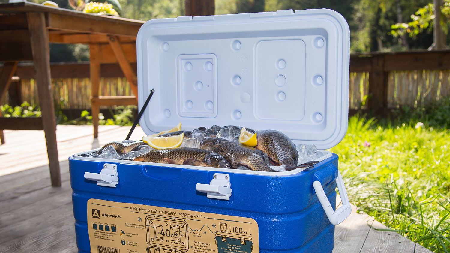 Изотермический контейнер Арктика (100л)